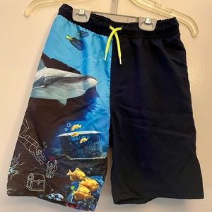 Land's End Swim Trunks